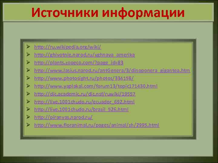 Источники информации Ø Ø Ø http: //ru. wikipedia. org/wiki/ http: //ghivotnie. narod. ru/yghnaya_amerika http: