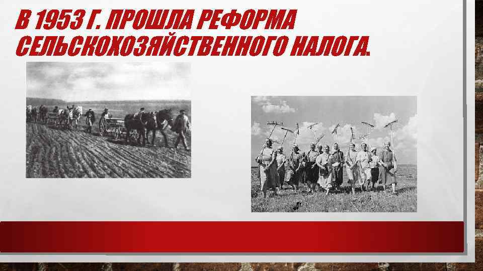 В 1953 Г. ПРОШЛА РЕФОРМА СЕЛЬСКОХОЗЯЙСТВЕННОГО НАЛОГА. 