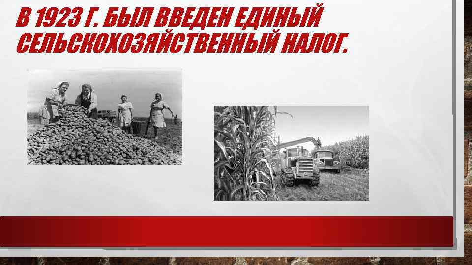 В 1923 Г. БЫЛ ВВЕДЕН ЕДИНЫЙ СЕЛЬСКОХОЗЯЙСТВЕННЫЙ НАЛОГ. 