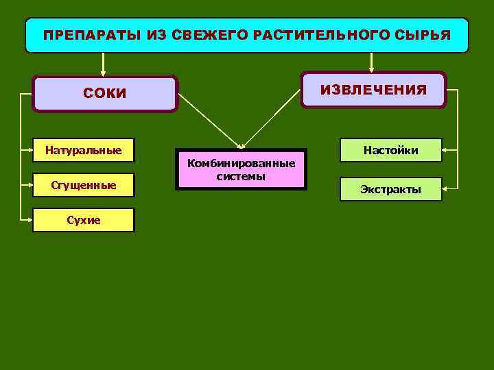 ПРЕПАРАТЫ ИЗ СВЕЖЕГО РАСТИТЕЛЬНОГО СЫРЬЯ ИЗВЛЕЧЕНИЯ СОКИ Натуральные Сгущенные Сухие Комбинированные системы Настойки Экстракты