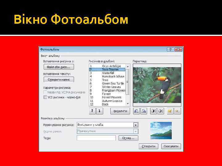 Вікно Фотоальбом 