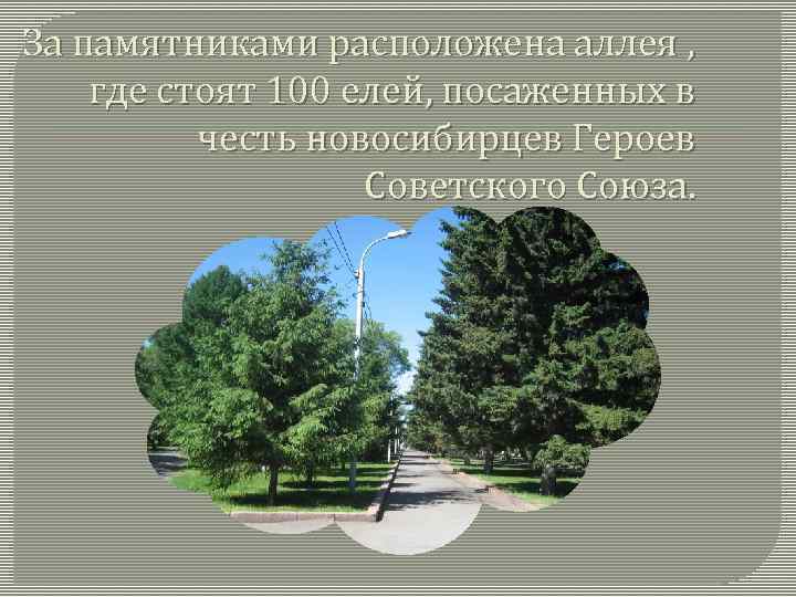 За памятниками расположена аллея , где стоят 100 елей, посаженных в честь новосибирцев Героев