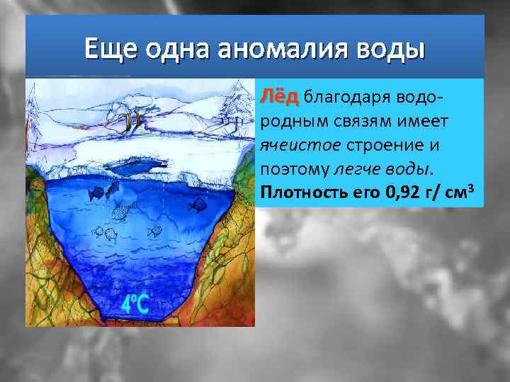 Еще одна аномалия воды Лёд благодаря водо- родным связям имеет ячеистое строение и поэтому
