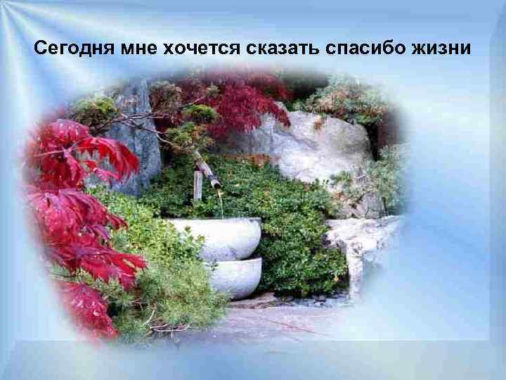 Сегодня мне хочется сказать спасибо жизни 