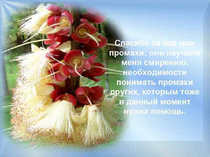 Спасибо за все мои промахи: они научили меня смирению, необходимости понимать промахи других, которым