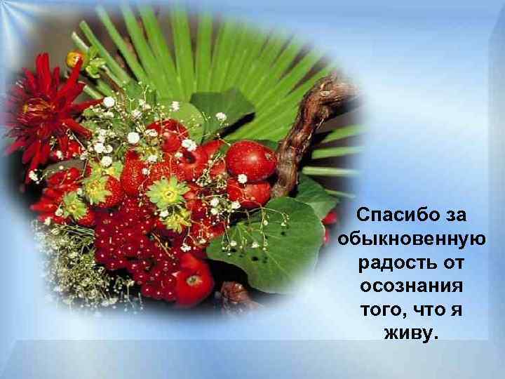 Спасибо за обыкновенную радость от осознания того, что я живу. 