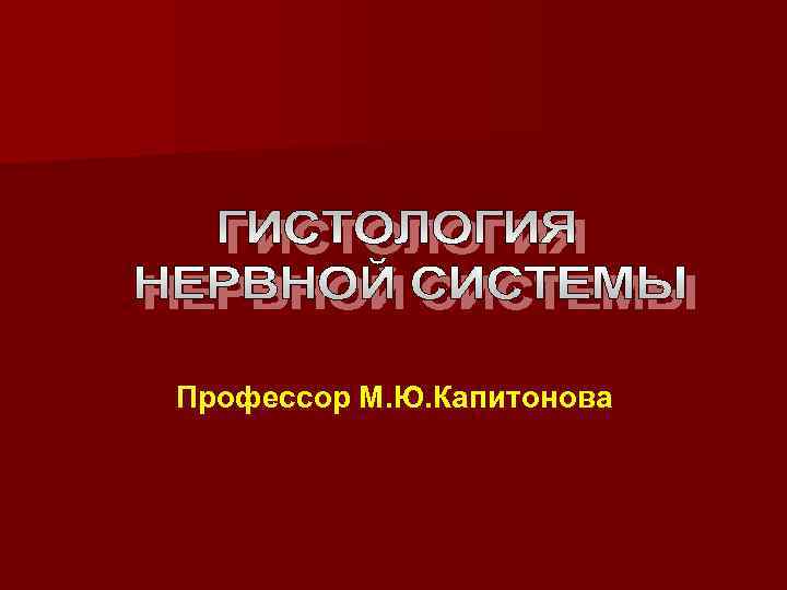 Профессор М. Ю. Капитонова 