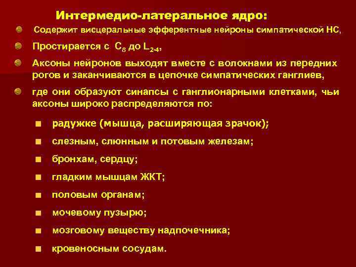 Интермедио-латеральное ядро: Содержит висцеральные эфферентные нейроны симпатической НС, Простирается с C 8 до L