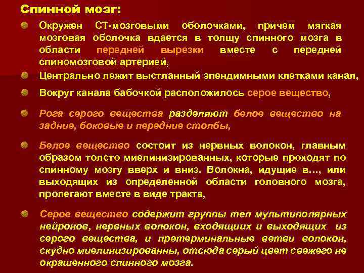 Спинной мозг: Окружен СТ-мозговыми оболочками, причем мягкая мозговая оболочка вдается в толщу спинного мозга