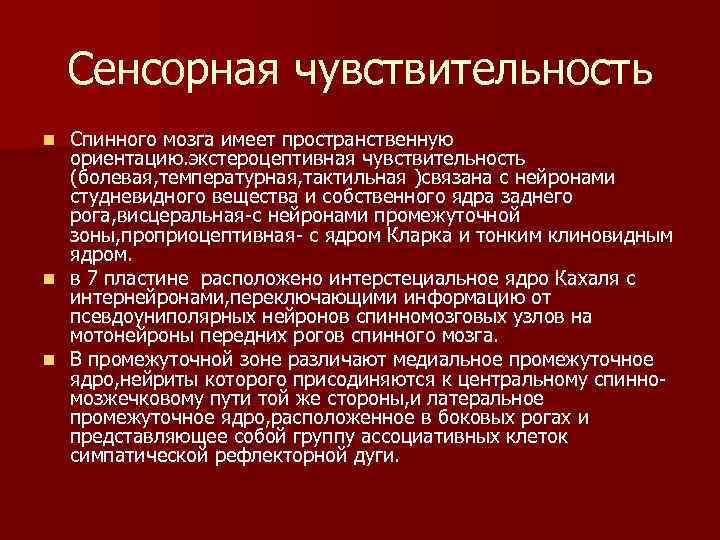 Сенсорная чувствительность Спинного мозга имеет пространственную ориентацию. экстероцептивная чувствительность (болевая, температурная, тактильная )связана с