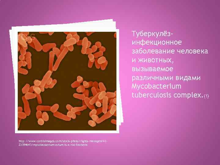 Tуберкулёзинфекционное заболевание человека и животных, вызываемое различными видами Mycobacterium tuberculosis complex. {1} http: //www.