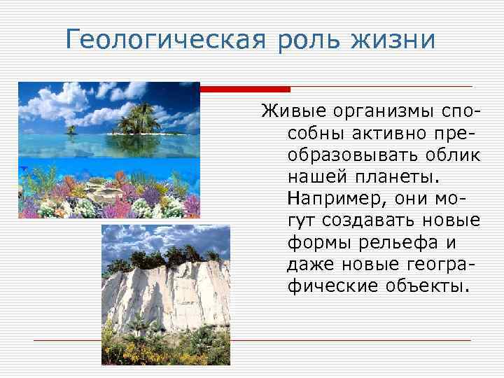 Геологическая роль жизни Живые организмы способны активно преобразовывать облик нашей планеты. Например, они могут