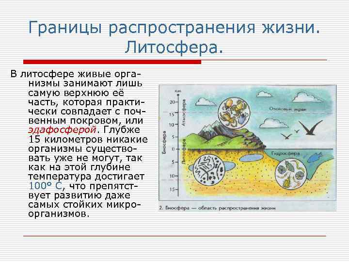 Расползание границ проекта