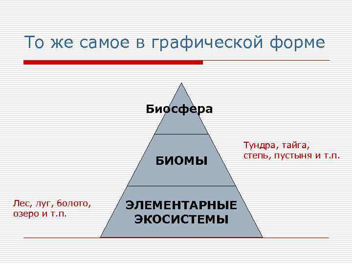 То же самое в графической форме Биосфера БИОМЫ Лес, луг, болото, озеро и т.