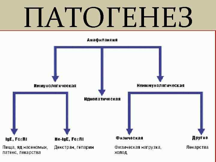 Схема патогенеза анафилактического шока