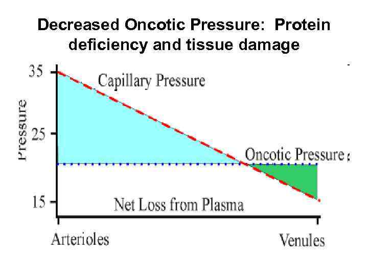 Decreased Oncotic Pressure: Protein deficiency and tissue damage 
