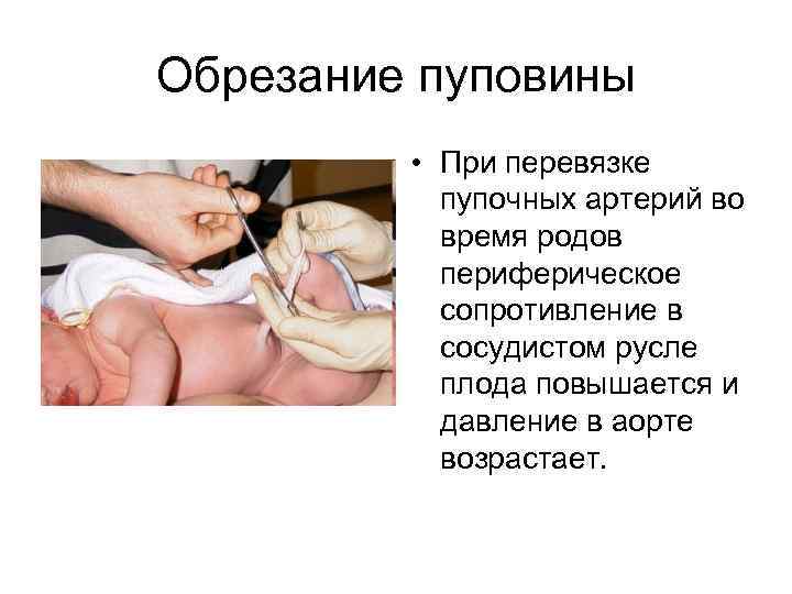 Обрезание пуповины • При перевязке пупочных артерий во время родов периферическое сопротивление в сосудистом