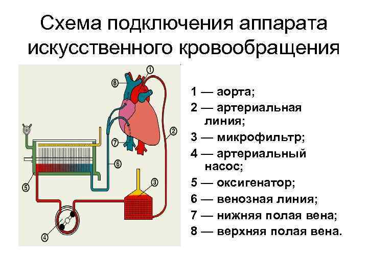 Искусственное кровообращение. Принцип действия аппарата искусственного кровообращения. Схема подключения аппарата искусственного кровообращения. Структурная схема аппарата искусственного кровообращения. АИК аппарат искусственного кровообращения.