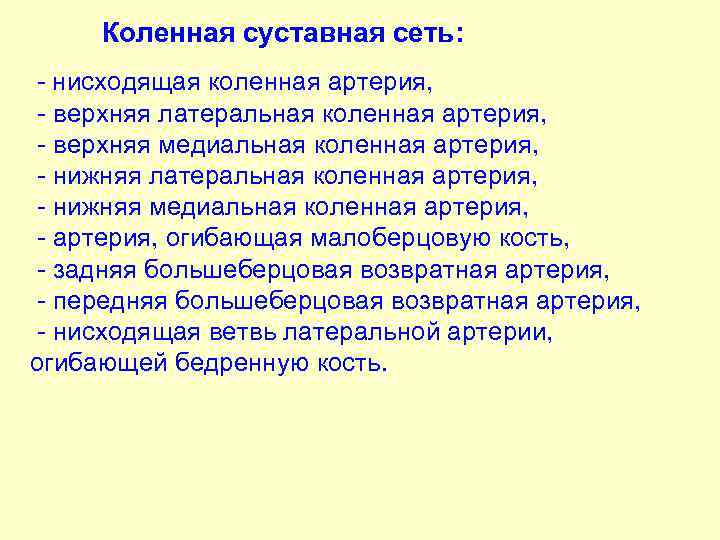 Коленная суставная сеть: - нисходящая коленная артерия, - верхняя латеральная коленная артерия, - верхняя