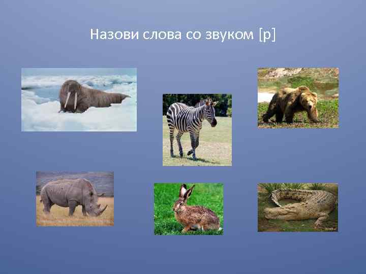 Назови слова со звуком [р] 