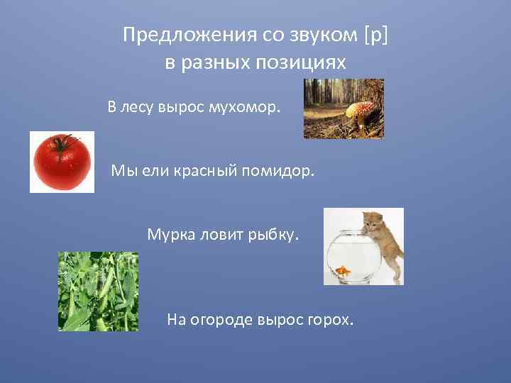 Предложения со звуком [р] в разных позициях В лесу вырос мухомор. Мы ели красный