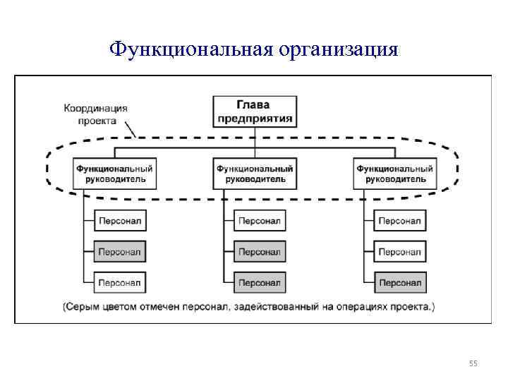Функциональная организация 55 