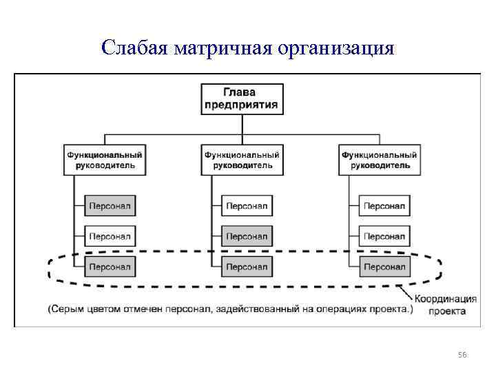 Слабая матричная организация 56 
