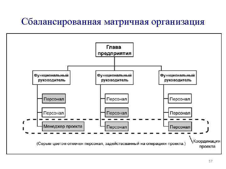 Сбалансированная матричная организация 57 