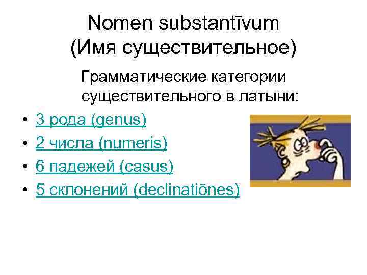 Nomen substantīvum (Имя существительное) • • Грамматические категории существительного в латыни: 3 рода (genus)