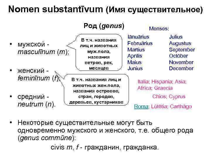 Как определить род существительного в латинском языке