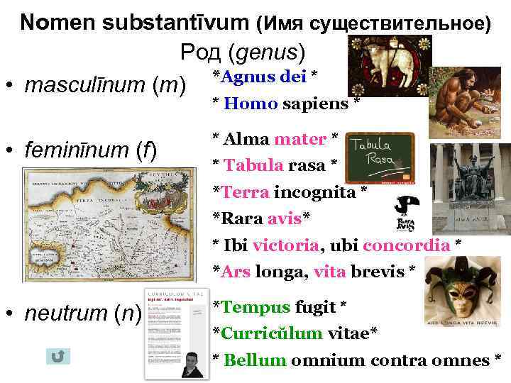 Nomen substantīvum (Имя существительное) Род (genus) • masculīnum (m) *Agnus dei * * Homo