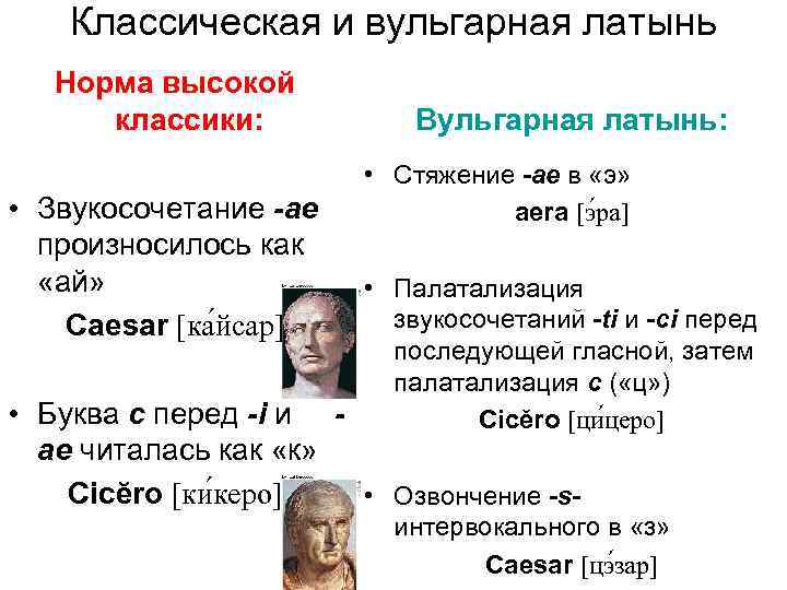 Классическая и вульгарная латынь Норма высокой классики: • Звукосочетание -ае произносилось как «ай» Caesar