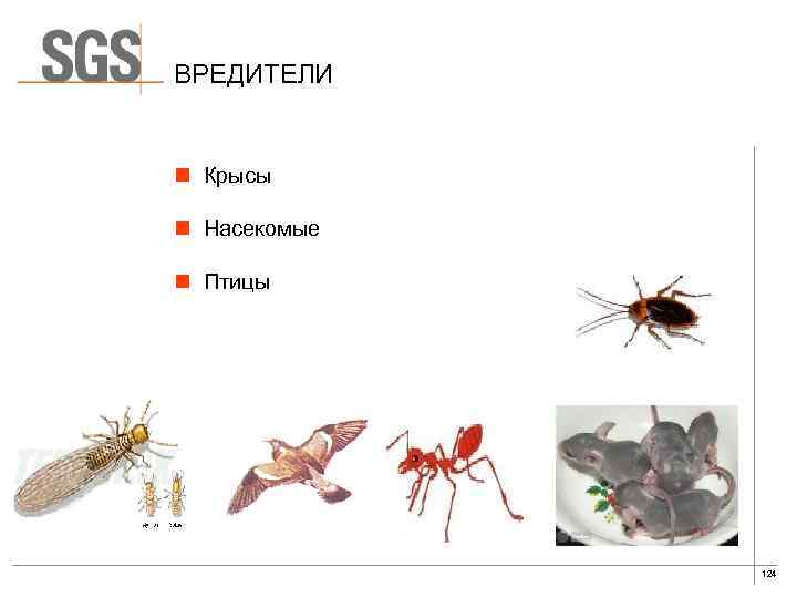 ВРЕДИТЕЛИ n Крысы n Насекомые n Птицы 124 