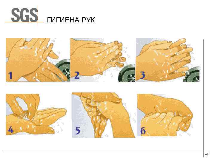 ГИГИЕНА РУК 67 