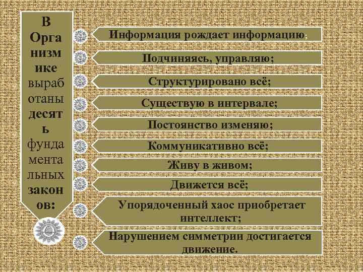 В Орга низм ике выраб отаны десят ь фунда мента льных закон ов: Информация