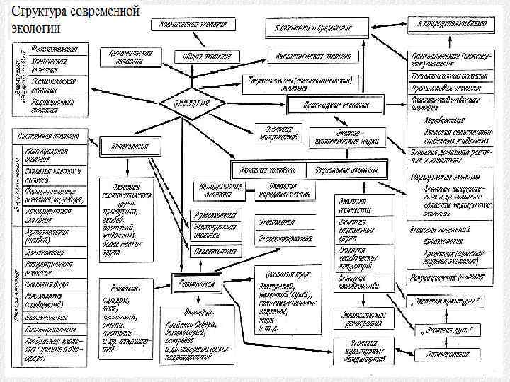 КУЛЬТУРА экософия; экологическое право; экологическое образование и воспитание ПРИКЛАДНЫЕ НАУКИ Ядро геоэкология СОЦИОЛОГИЯ экология