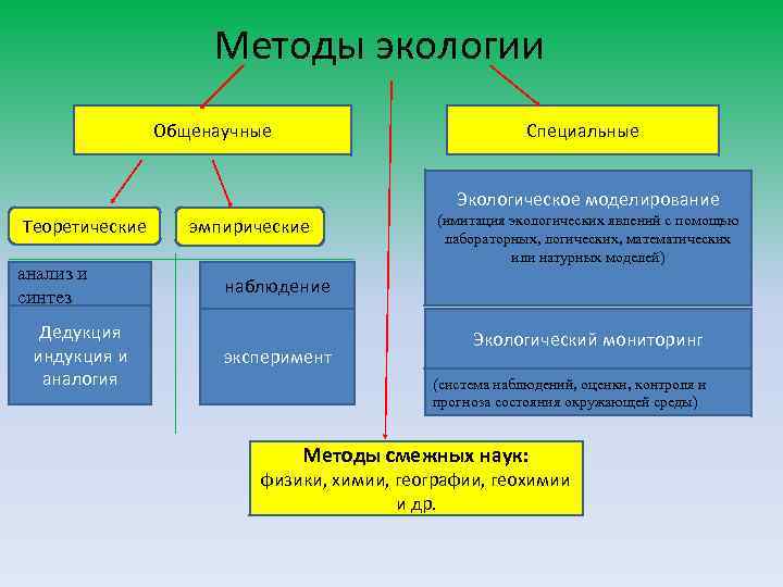 Методы экологии Общенаучные Специальные Экологическое моделирование Теоретические анализ и синтез Дедукция индукция и аналогия