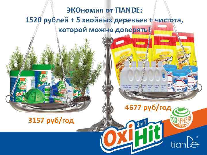 ЭКОномия от TIANDE: 1520 рублей + 5 хвойных деревьев + чистота, которой можно доверять!