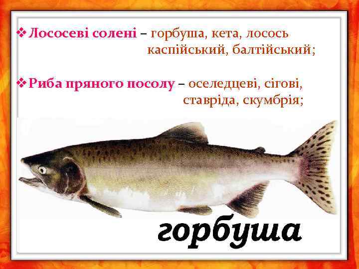v Лососеві солені – горбуша, кета, лосось каспійський, балтійський; v Риба пряного посолу –
