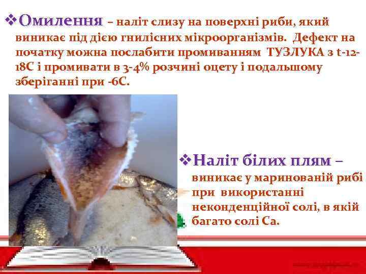 v. Омилення – наліт слизу на поверхні риби, який виникає під дією гнилісних мікроорганізмів.