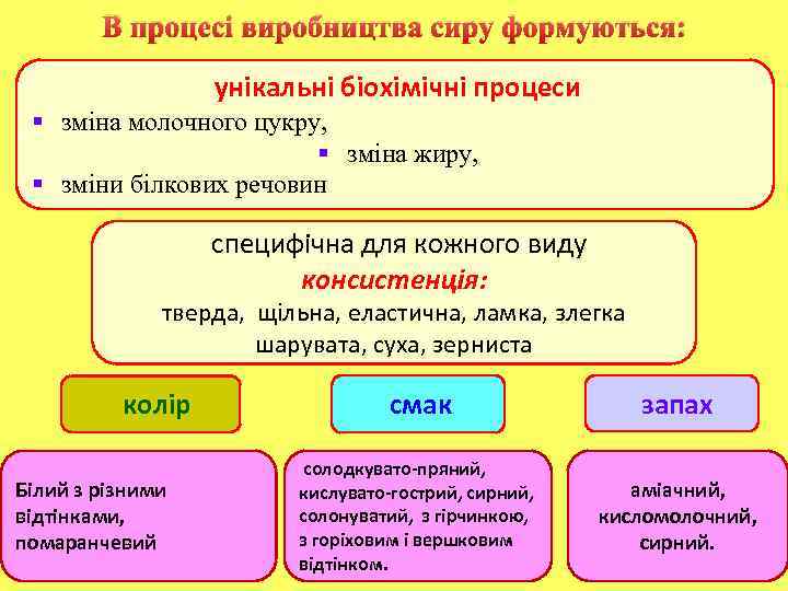 В процесі виробництва сиру формуються: унікальні біохімічні процеси § зміна молочного цукру, § зміна