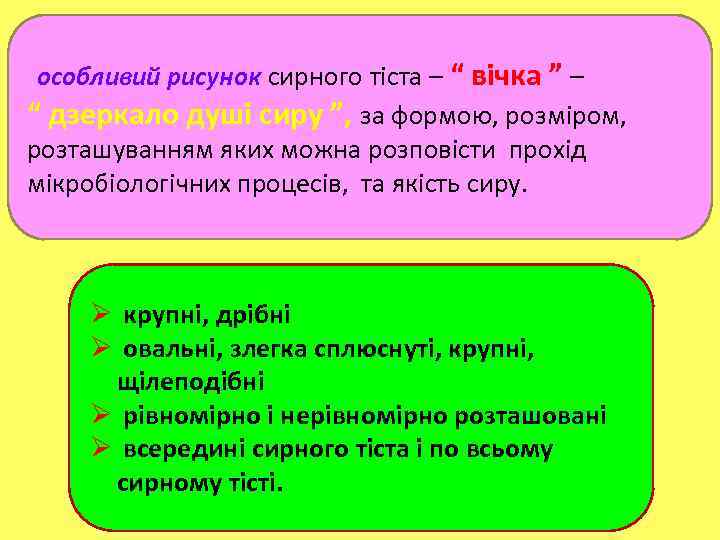 особливий рисунок сирного тіста – “ вічка ” – “ дзеркало душі сиру ”,