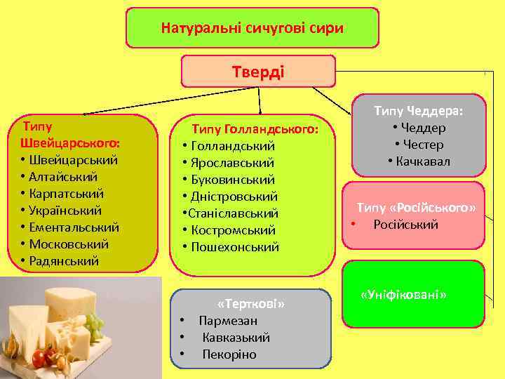 Натуральні сичугові сири Тверді Типу Швейцарського: • Швейцарський • Алтайський • Карпатський • Український