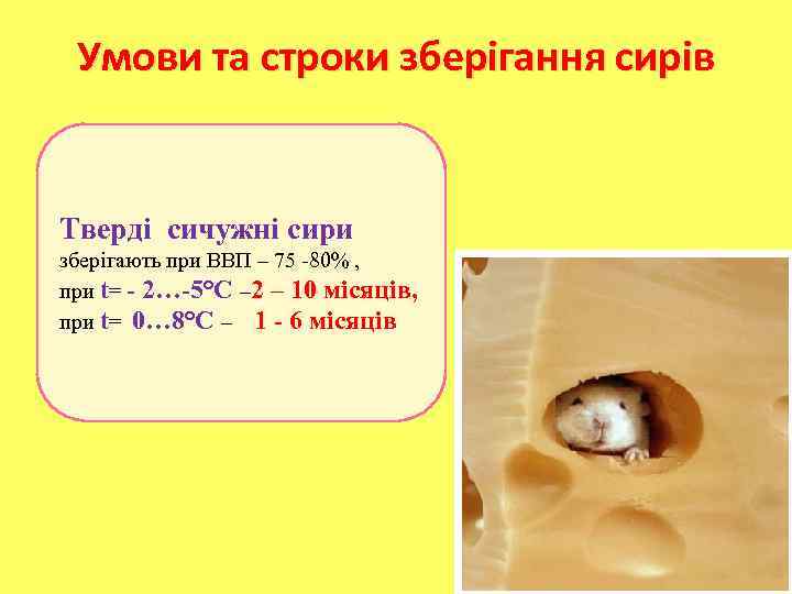 Умови та строки зберігання сирів Тверді сичужні сири зберігають при ВВП – 75 -80%