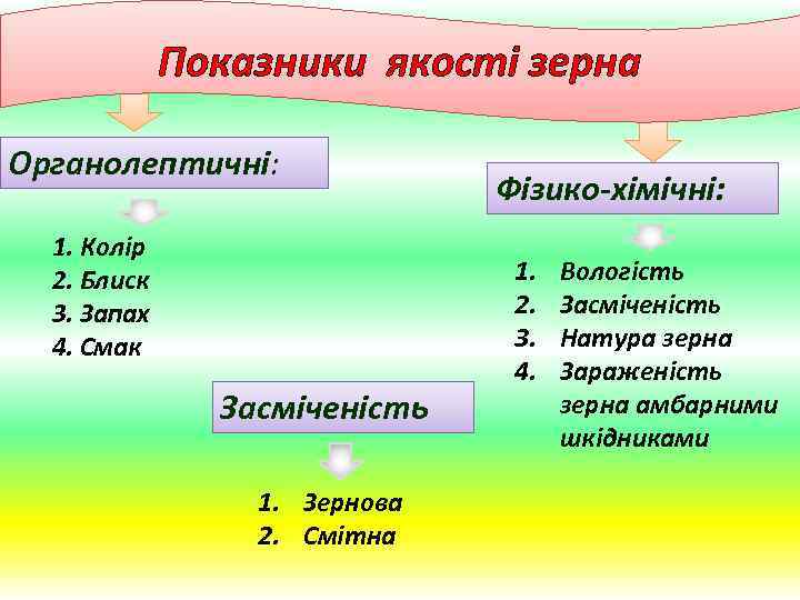 Показники якості зерна Органолептичні: 1. Колір 2. Блиск 3. Запах 4. Смак Засміченість 1.