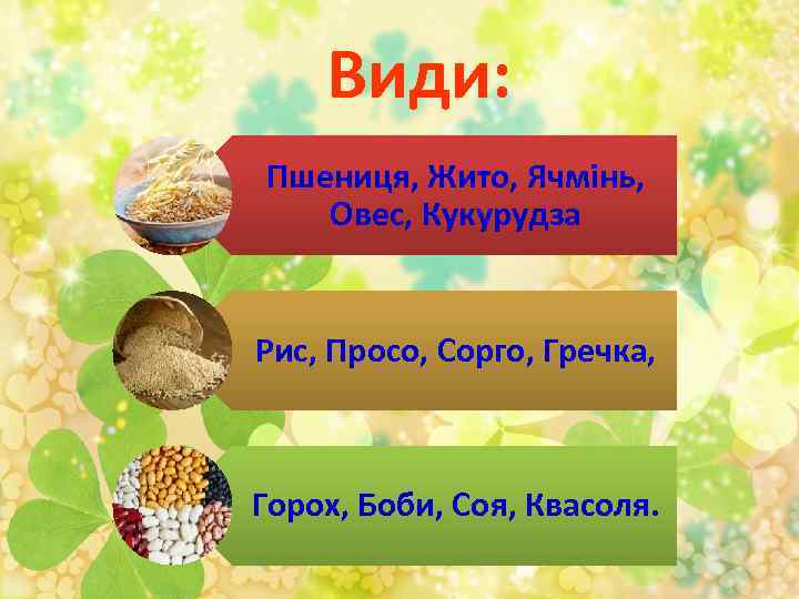 Види: Пшениця, Жито, Ячмінь, Овес, Кукурудза Рис, Просо, Сорго, Гречка, Горох, Боби, Соя, Квасоля.