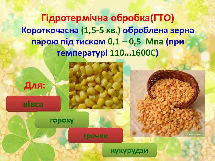 Гідротермічна обробка(ГТО) Короткочасна (1, 5 -5 хв. ) оброблена зерна парою під тиском 0,