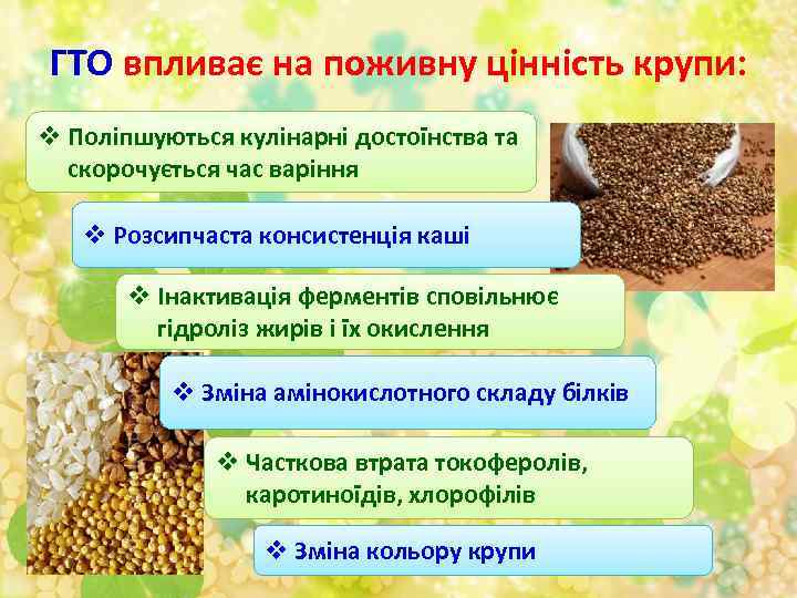 ГТО впливає на поживну цінність крупи: v Поліпшуються кулінарні достоїнства та скорочується час варіння