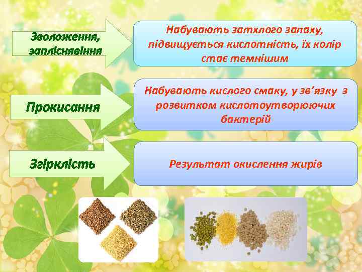 Зволоження, запліснявіння Набувають затхлого запаху, підвищується кислотність, їх колір стає темнішим Прокисання Набувають кислого