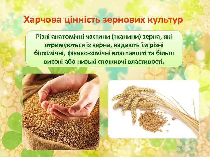 Харчова цінність зернових культур Різні анатомічні частини (тканини) зерна, які отримуються із зерна, надають